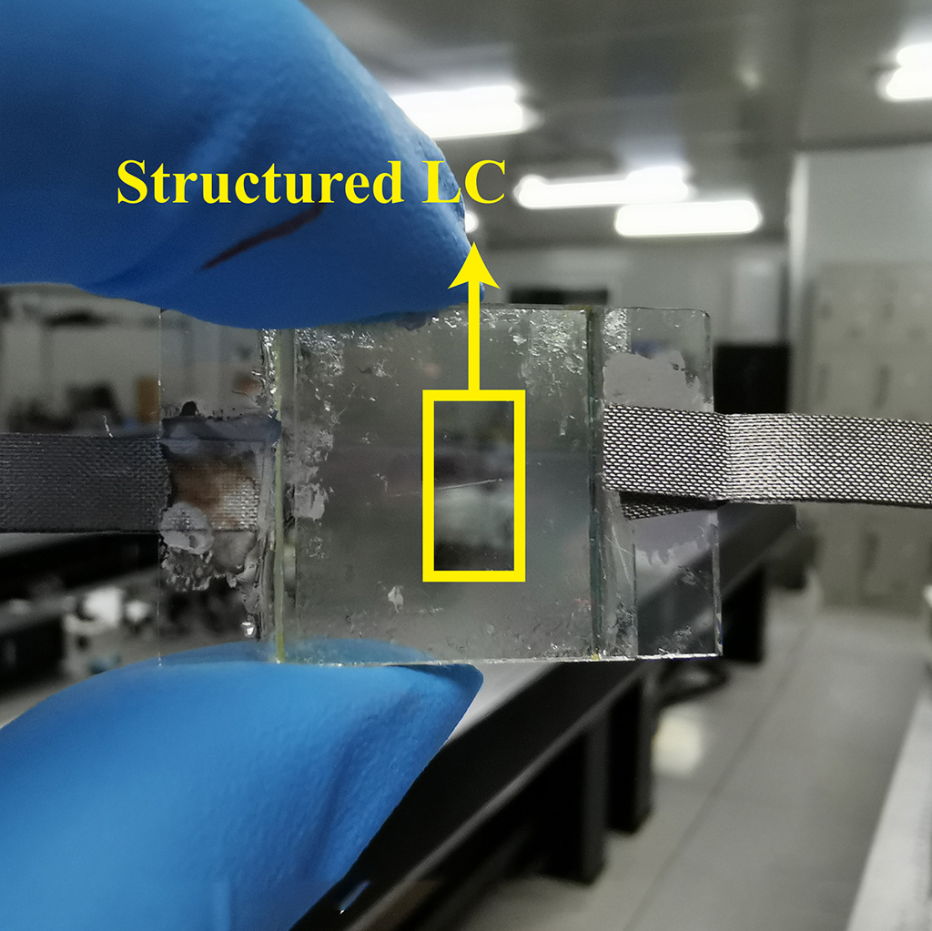 Researchers harness liquid crystal structures to design simple, yet versatile bifocal lenses 