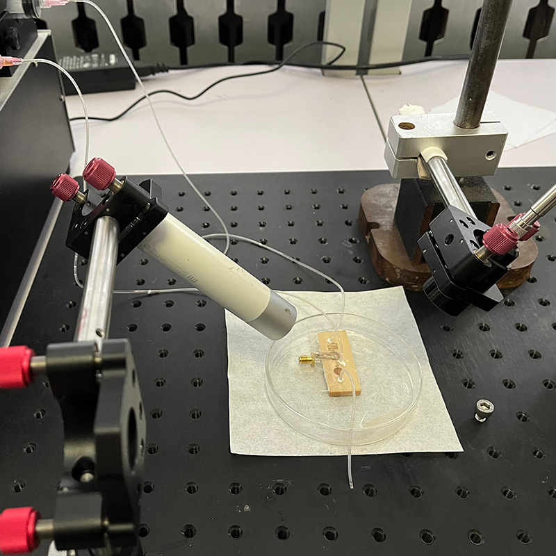 Researchers demonstrate sensitive lead detection with wood-based microfluidic chips  
