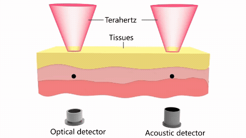 Rubidium transition