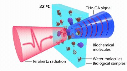 Rubidium transition