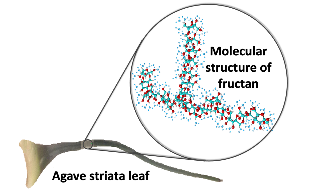 Rubidium transition