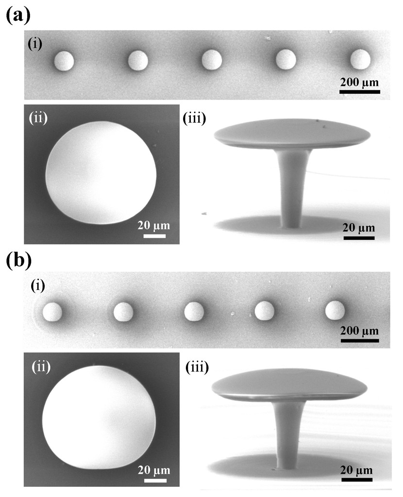 Rubidium transition