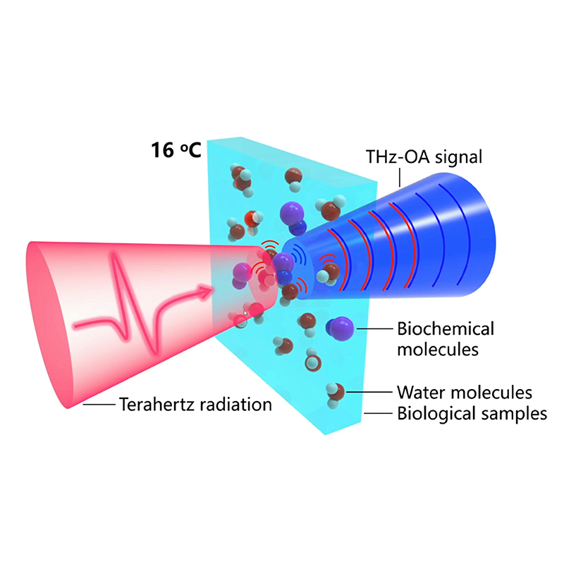 New system uses sound and terahertz waves to measure blood sodium without needles