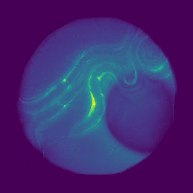 Multifocus microscope pushes the limits of fast live 3D biological imaging