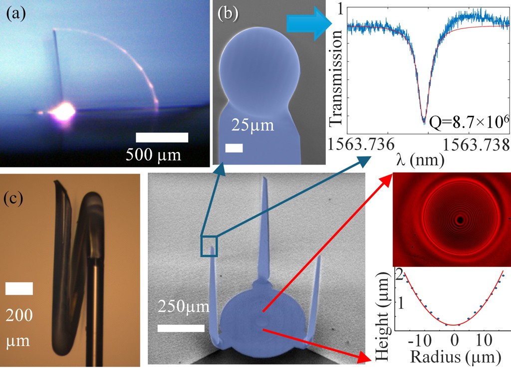 Rubidium transition