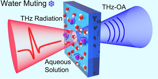 Rubidium transition