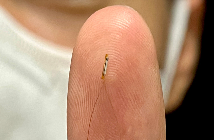A close-up view of a tiny, cylindrical intravascular optical imaging probe resting on the tip of an index finger to highlight its miniature size.