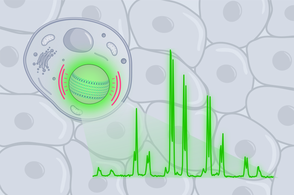 A 2d graphic depicting a cell.