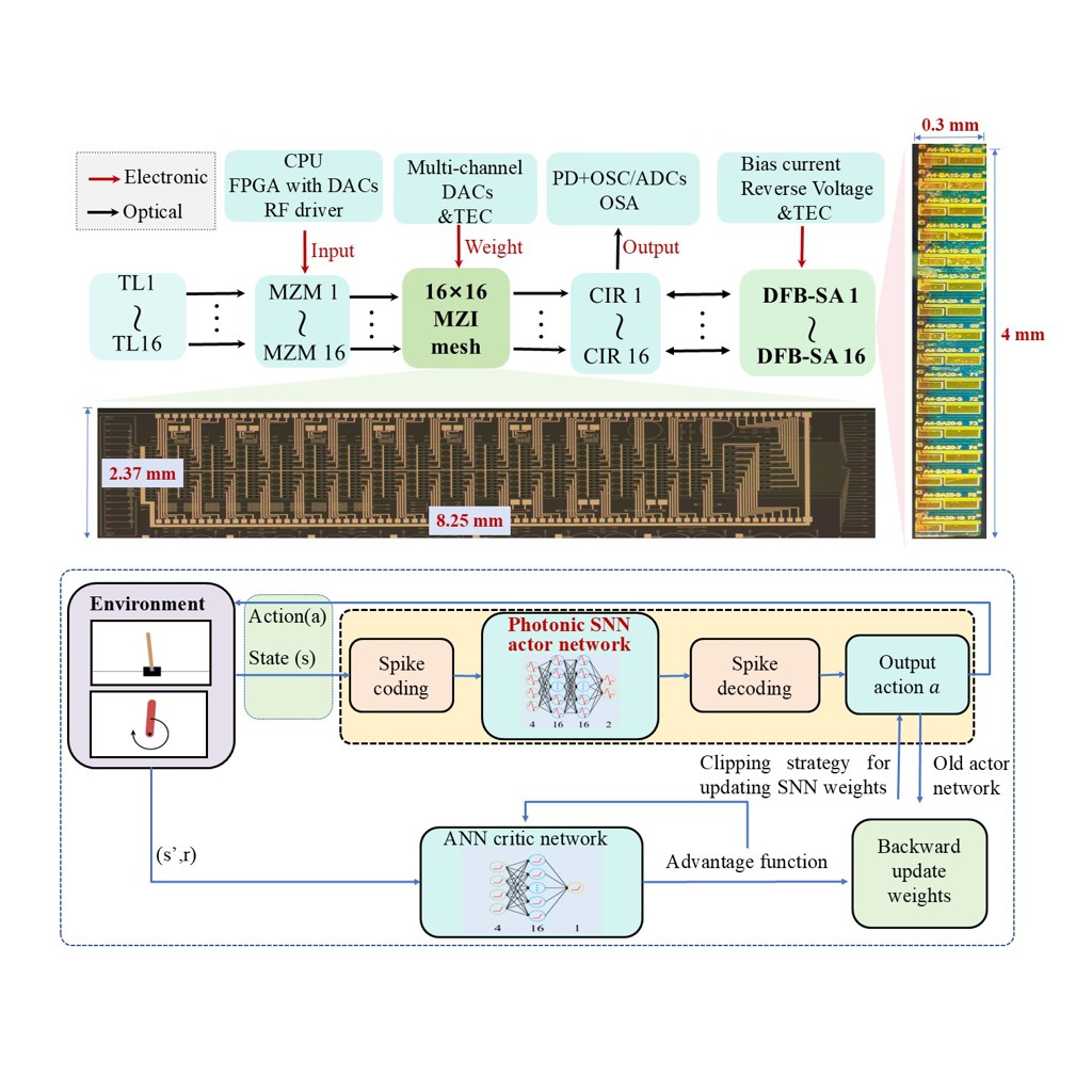 Rubidium transition