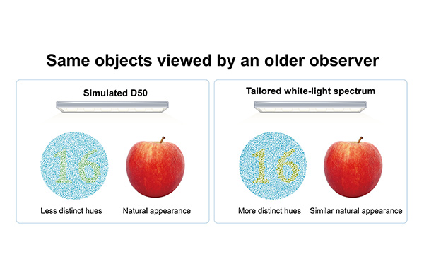 Side-by-side comparison illustrating how an older observer views objects under simulated D50 lighting versus a tailored white-light spectrum. The tailored spectrum shows a color-blind test circle with a clearer yellow number 16 against blue dots, alongside a red apple maintaining a natural appearance.