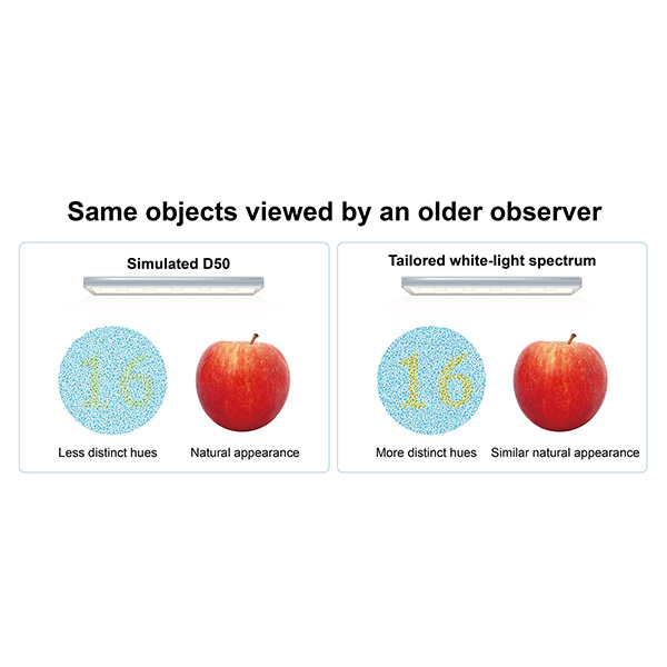 New model informs lighting design that works better for aging eyes