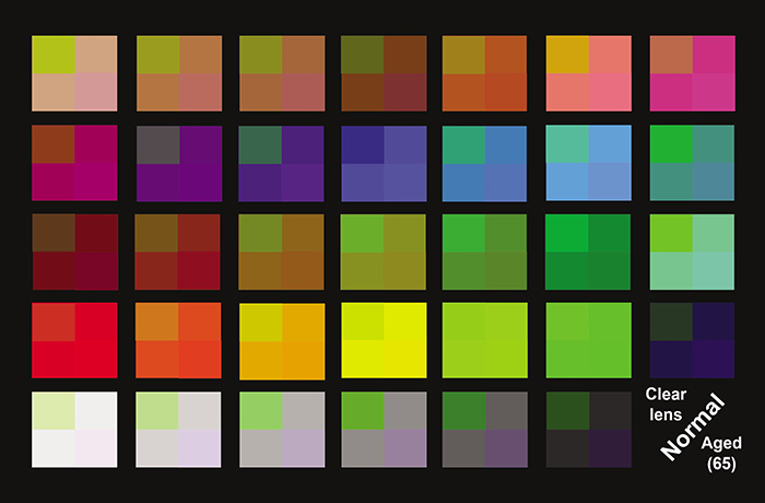 Grid of 35 color blocks demonstrating simulated display color perception differences between a clear lens with normal vision and an aged (65) eye lens. Each color square is divided into quadrants showing subtle color shifts across different light spectrums.