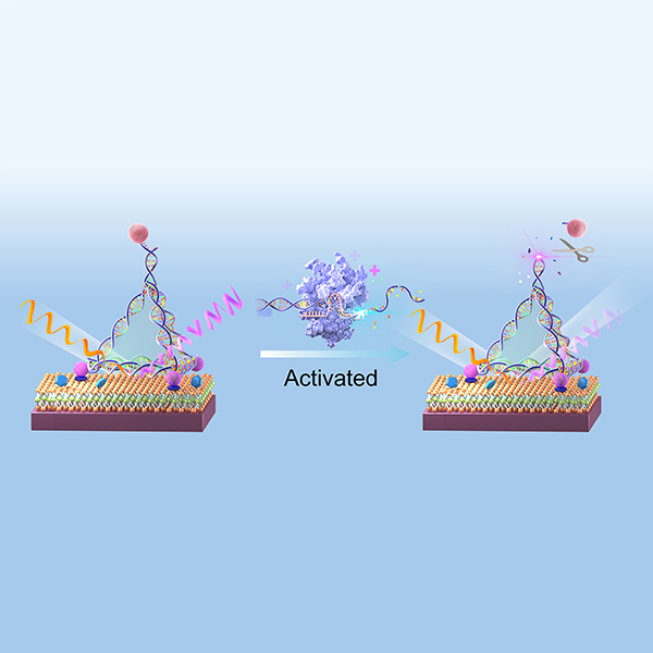 Light-based sensor detects early molecular signs of cancer in the blood