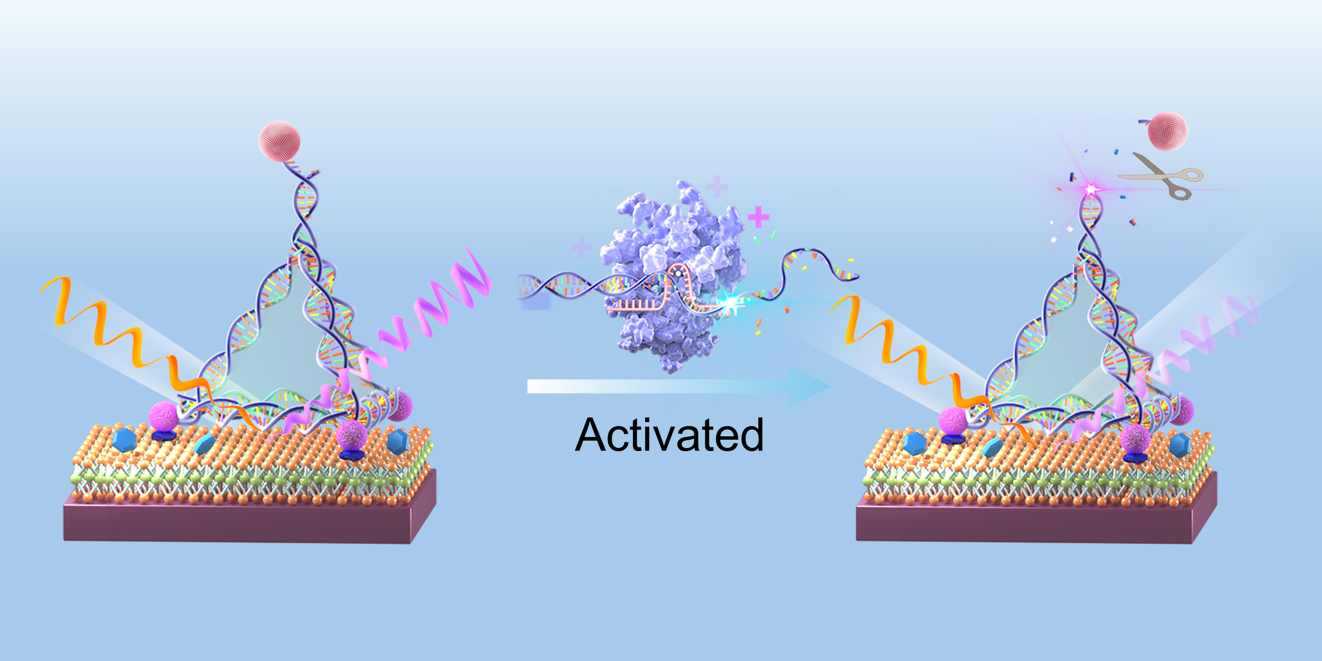 Rubidium transition