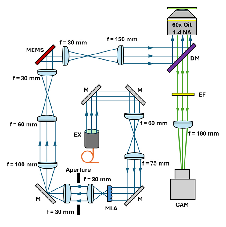 Scientists demonstrate low-cost, high-quality lenses for super-resolution microscopy