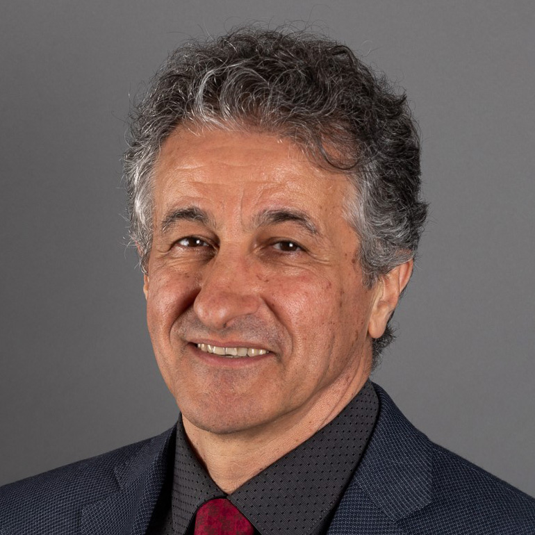 Image for Majed Chergui