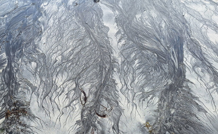 n aerial view of wet, dark sand forming intricate, tree-like fractal channels and tendrils as water recedes across a light-colored sandy shore.
