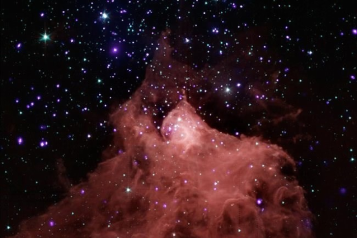 A composite image showing the molecular cloud Cepheus B, located in our galaxy about 2,400 light years from the Earth. It was taken using data from the Chandra X-ray Observatory and the Spitzer Space Telescope.