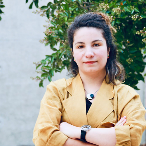 Dr. Isinsu Baylam