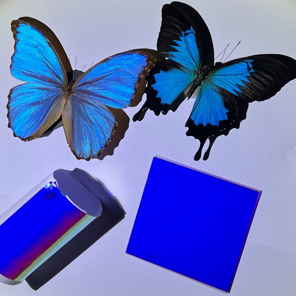 Butterfly-inspired films create vibrant colors while passively cooling objects