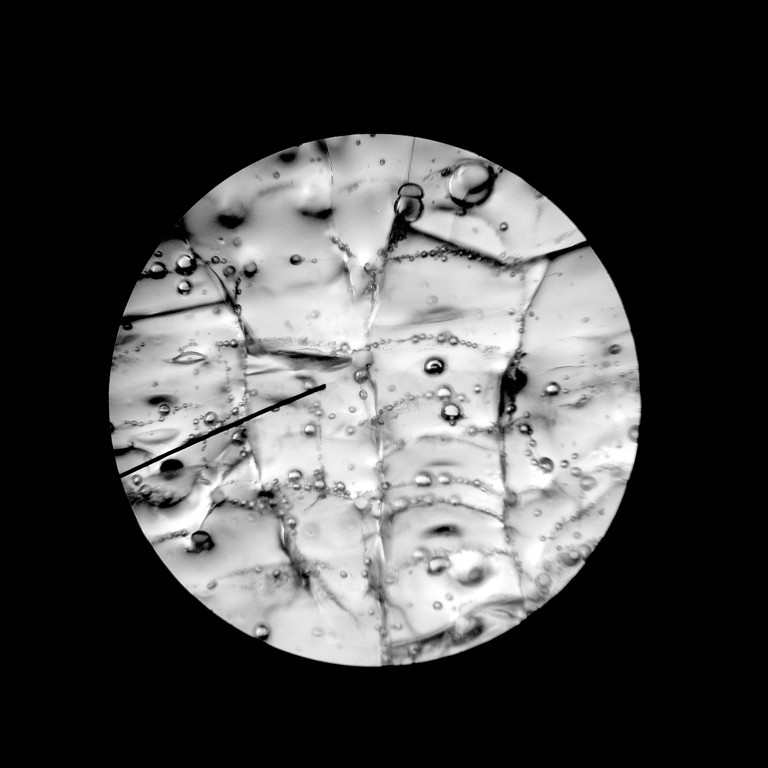 Glass (Microscope Slide)