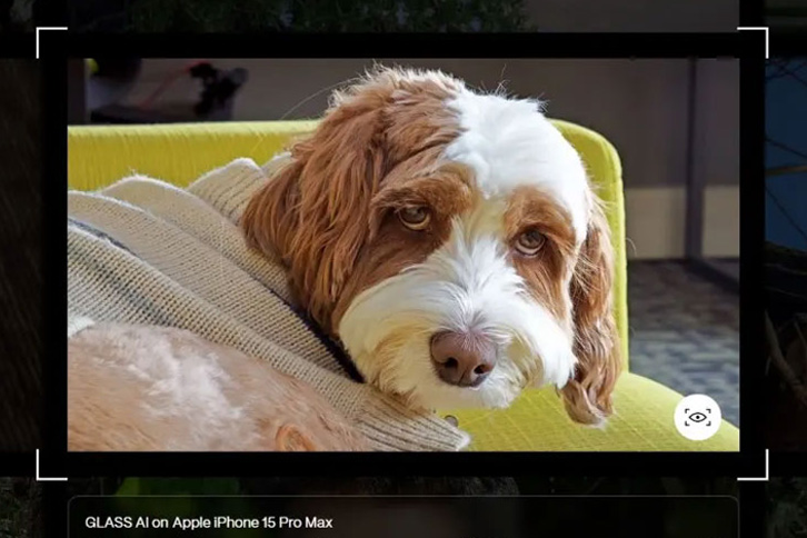 Image of dog taken using GlassAI software