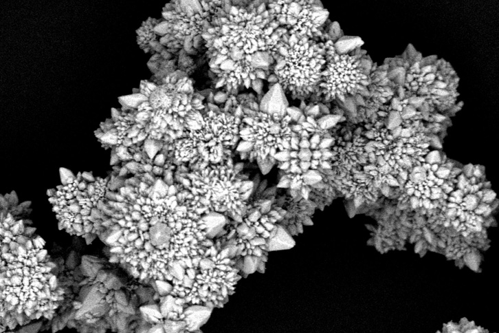 A cluster of micromotors.