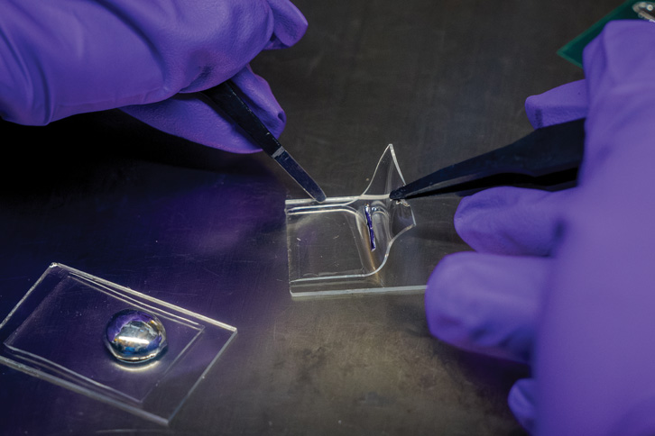 test of a prototype of a stretchable OLED screen