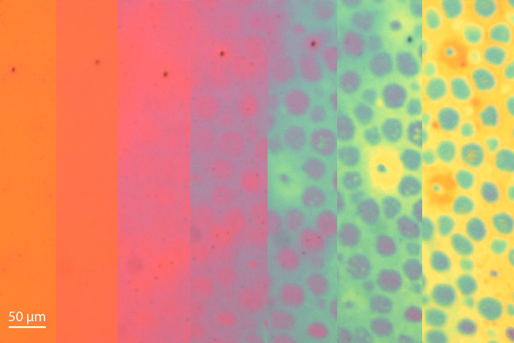 Time-lapse image of the evolution of color patterns in a soft photonic skin sample.