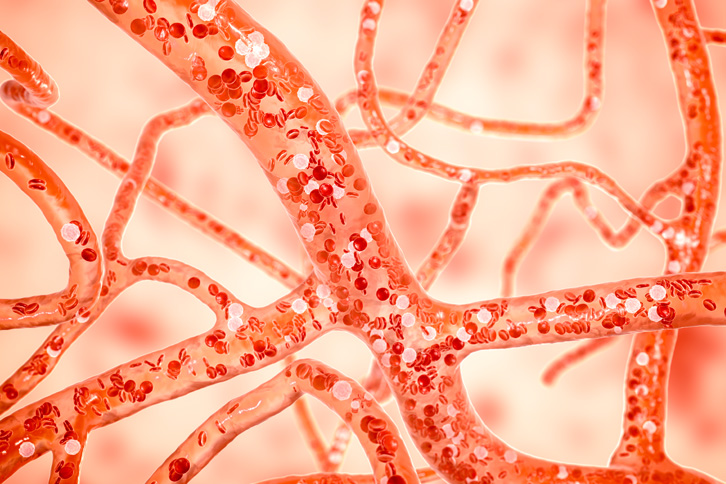 image of capillaries