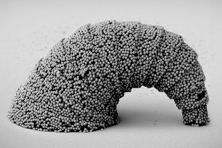 croissant-shaped microstructure